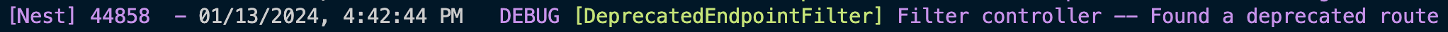 Middleware logs